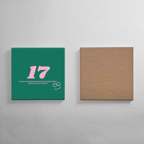 Keramisch cadeau tegel 17 jaar - Grappige spreuktegel 17 jarige verjaardag - Cadeau idee voor verjaardag- 11 x 11 cm - Inclusief standaard